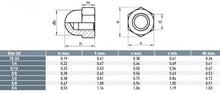 Load image into Gallery viewer, Hex Dome Nuts UNC 316 1/4 - Box of 100
