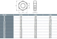 Load image into Gallery viewer, Hex Lock / Half Nuts M10 - 316 Grade Box of 100
