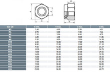 Load image into Gallery viewer, Hex Nylon Insert Lock Nut 316 M18
